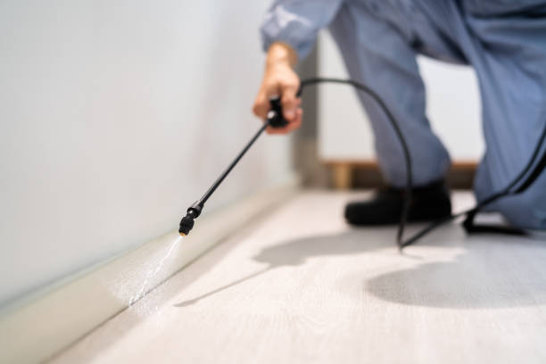 Licensed Termite Control service in Burlington, ND - Nex Pest Control
