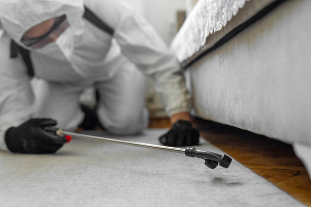 Professional Termite Control technician working in Burlington, ND