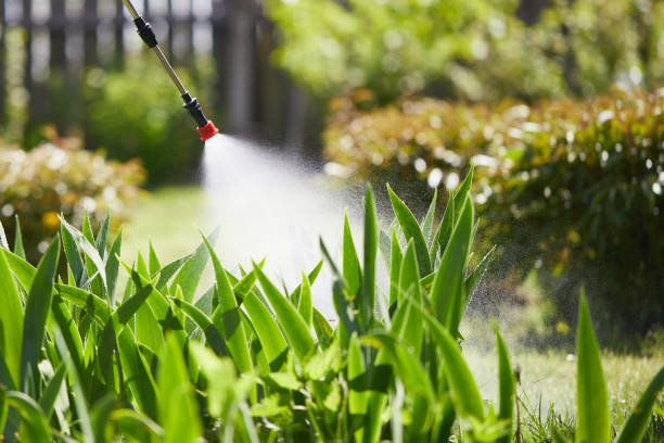 24/7 Emergency Termite Control experts in Burlington, ND