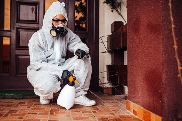 Reliable Termite Control contractor in Burlington, ND by Nex Pest Control