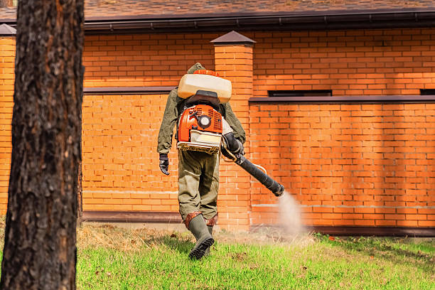 Top rated local Termite Control specialists in Burlington, ND